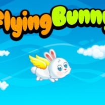 Flying Bunny Flying Bunny img